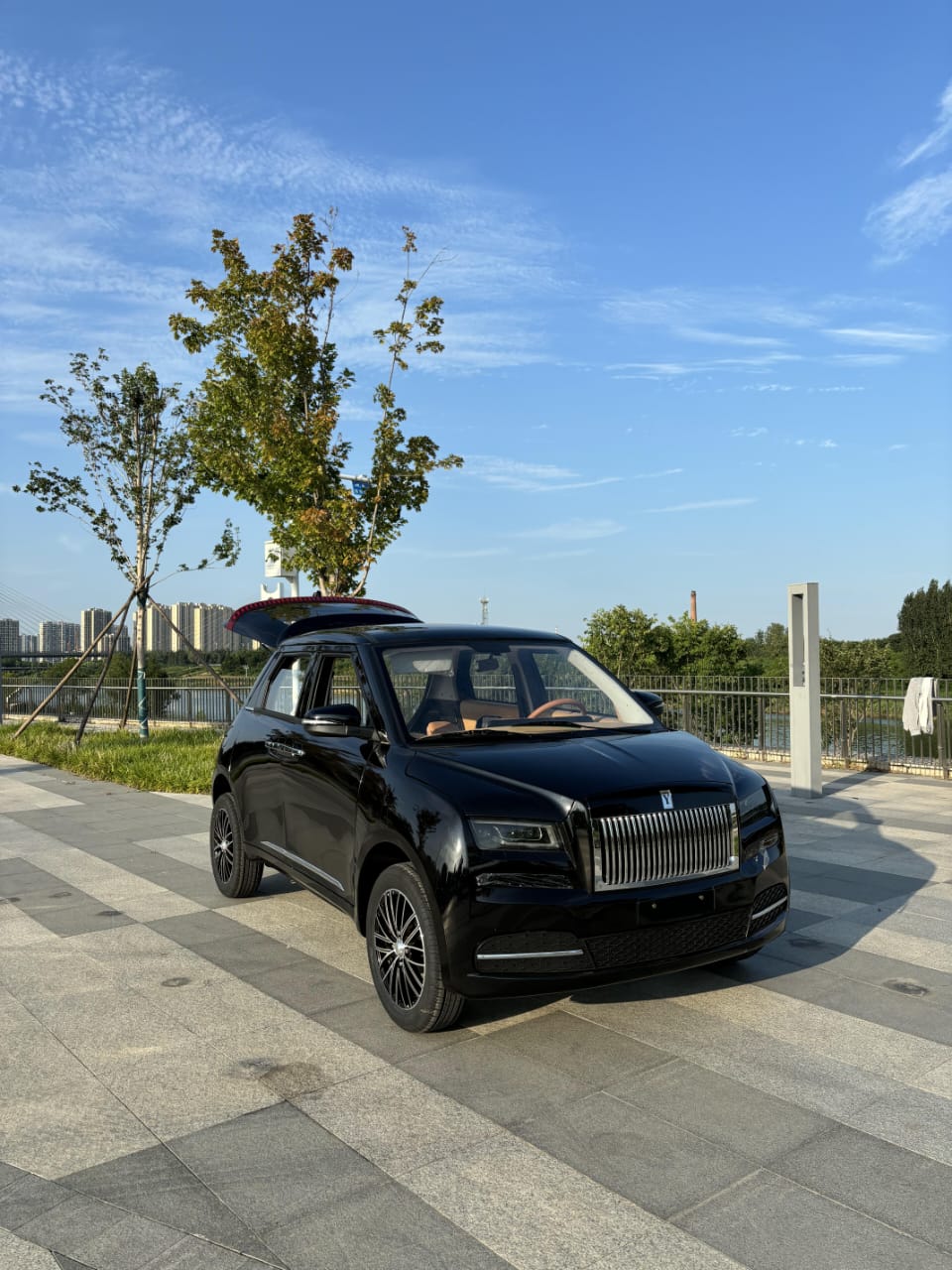 Electric Pickup